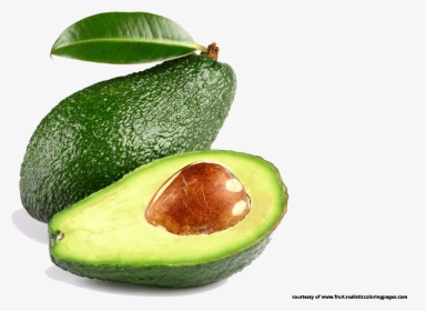 Great Fruit Free - Transparent Background Avocado Png, Png Download, Transparent PNG