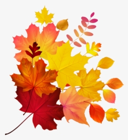Autumn Color Leaf Maple Royalty-free Download Hq Png - Autumn Leaves Png Vector, Transparent Png, Transparent PNG