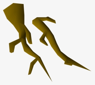 Akar Png, Transparent Png, Transparent PNG