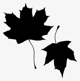 Klevo Lapai Png, Transparent Png, Transparent PNG