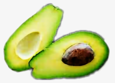#aguacate #avocado #🥑 - Avocado, HD Png Download, Transparent PNG