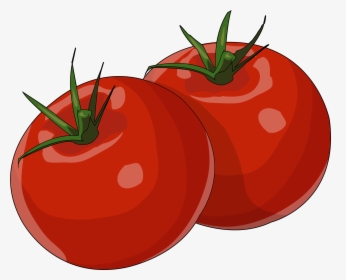 Tomate Png , Png Download - Tomate Png, Transparent Png, Transparent PNG
