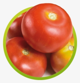 Plum Tomato, HD Png Download, Transparent PNG