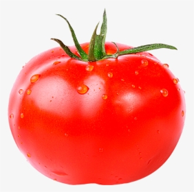 Tomato Fruit Or Vegetable Meme, HD Png Download, Transparent PNG