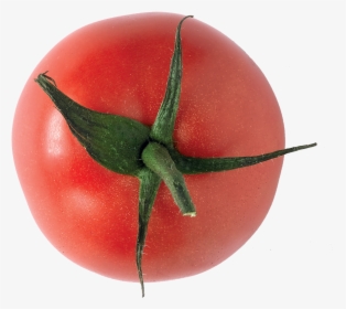 Tomate - Plum Tomato, HD Png Download, Transparent PNG