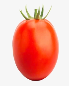 Plum Tomato, HD Png Download, Transparent PNG
