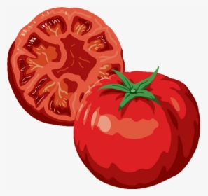 Tomates Dessin , Png Download - Tomato Png Drawing, Transparent Png, Transparent PNG
