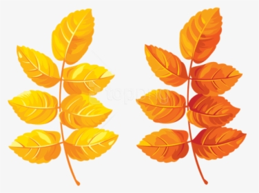 Free Png Download Fall Leaves Clipart Png Photo Png - Yellow Orange Leaf Clipart, Transparent Png, Transparent PNG