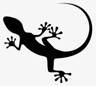 Gecko Top View Shape - Lizard Icon Png, Transparent Png, Transparent PNG
