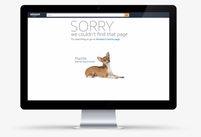 404 Error Page Design Showcase - Roe Deer, HD Png Download, Transparent PNG