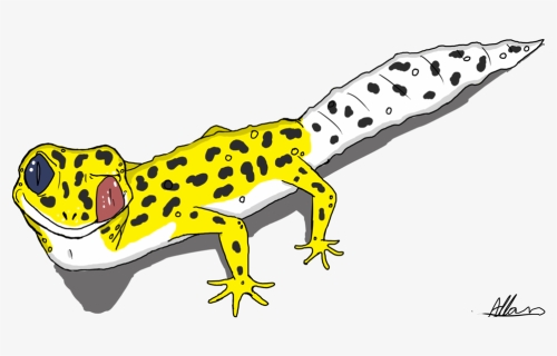 Leopard Gecko Cartoon - Leopard Gecko Drawing Easy, HD Png Download, Transparent PNG