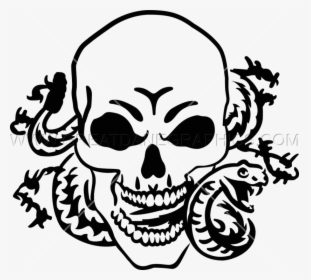 Skull Drawing At Getdrawings Com Free For - Skulls And Skeleton Snake, HD Png Download, Transparent PNG