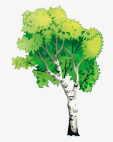 Nature Natural Environment Tree - Plane-tree Family, HD Png Download, Transparent PNG
