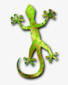 Gecko 3 By Merlin 2525 555px - Gecko Image Transparent, HD Png Download, Transparent PNG