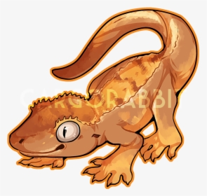 Crested Gecko - Crested Gecko Clipart, HD Png Download, Transparent PNG