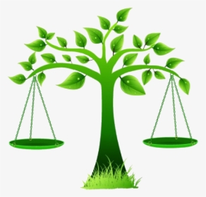 Environment Vector Day - Scales Of Justice Tree, HD Png Download, Transparent PNG