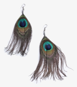 African Peacock Feather Hook Earrings - Feather Earring Transparent Background, HD Png Download, Transparent PNG