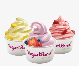 Yogurt Dish Png Download Copy - Yogurtland Fundraiser, Transparent Png, Transparent PNG