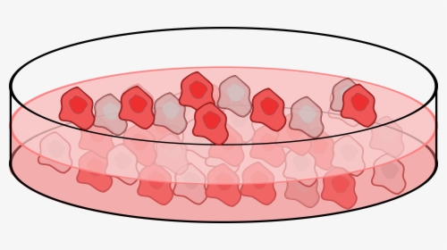 Cell Culture Clip Arts - Cartoon Petri Dish Cells, HD Png Download, Transparent PNG