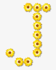 Sunflower Seed,plant,flower - Flower Alphabet Png, Transparent Png, Transparent PNG