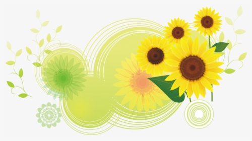 Download Common Sunflower Illustration - Bottom Flower Png, Transparent Png, Transparent PNG