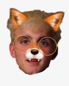 #jakepaulface #facejakepaul #jakepaul #jake #memejakepaul - Red Panda, HD Png Download, Transparent PNG