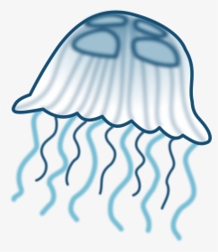Sea Life Clipart Jellyfish - Clip Art Jelly Fish, HD Png Download, Transparent PNG