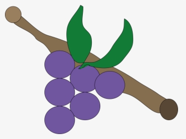 Plant,grape,grapevine Family - Uva Lila, HD Png Download, Transparent PNG