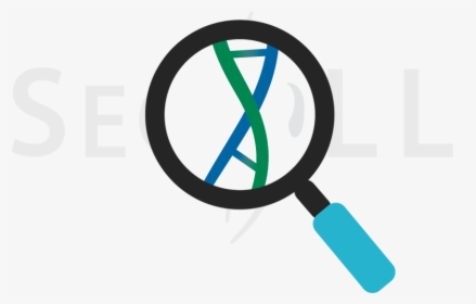 Magnifying Glass Dna Cell Svg Png Icon Free Download, Transparent Png, Transparent PNG