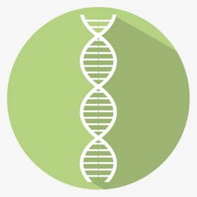 Png Dna Icon Green, Transparent Png, Transparent PNG