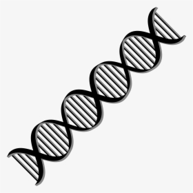 Dark And Dna Background - Clipart Dna Double Helix, HD Png Download, Transparent PNG