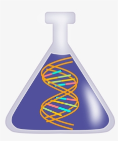 Dna Rna Genetics - Dna Extraction Clipart, HD Png Download, Transparent PNG