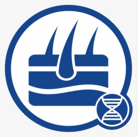 Tissue Dna Icon - Emblem, HD Png Download, Transparent PNG