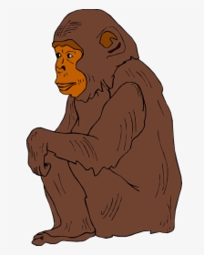 Transparent Chimp Png - Transparent Chimpanzee Clipart, Png Download, Transparent PNG