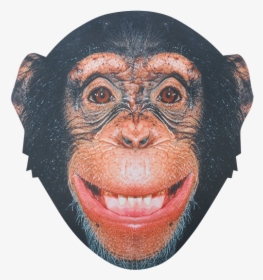 Chimp Face Png, Transparent Png, Transparent PNG