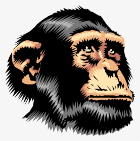 Chimpanzee - Chimp Face Cartoon, HD Png Download, Transparent PNG