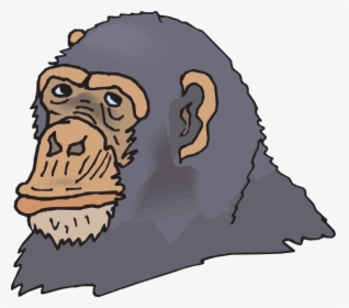 Chimpanzee, HD Png Download, Transparent PNG