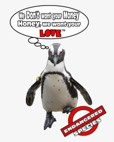 Penguinpromises - Penguin Promise, HD Png Download, Transparent PNG