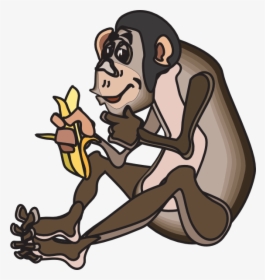 Monkey Eating Banana Png, Transparent Png, Transparent PNG