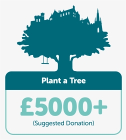 Plant A Tree £5000 - Tree Time, HD Png Download, Transparent PNG