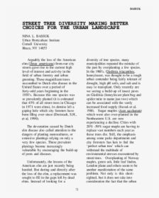 Document, HD Png Download, Transparent PNG