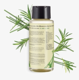 Love Beauty And Planet Tea Tree Body Wash, HD Png Download, Transparent PNG