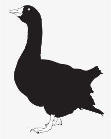 Geese Silhouette Png, Transparent Png, Transparent PNG
