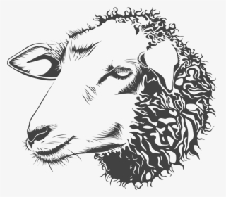 Sheep Head Black And White, HD Png Download, Transparent PNG