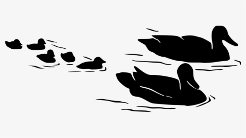 Birds In Water Silhouette, HD Png Download, Transparent PNG