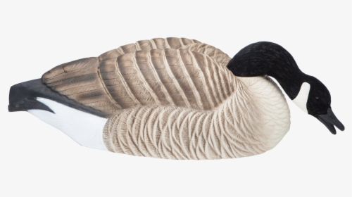 Final Approach Shell Honker Feeding Goose Hunting Decoy - Canada Goose, HD Png Download, Transparent PNG