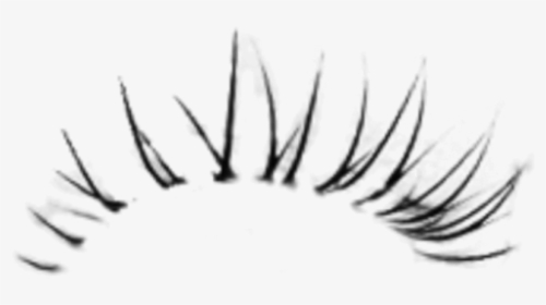 #lash #eyelashes #eyelash #mascara - Eyelashes Png For Photoshop, Transparent Png, Transparent PNG