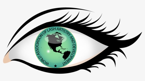 Meet Andrea Wright Eyelash - Our Products, HD Png Download, Transparent PNG