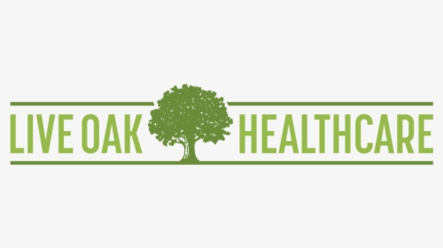 Live Oak Healthcare Logo 2@4x - Radical Chic, HD Png Download, Transparent PNG