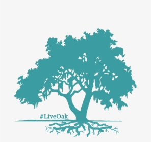 Livecycletree - Oak Tree Clipart Green, HD Png Download, Transparent PNG